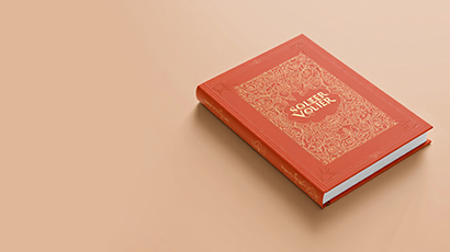 Novel